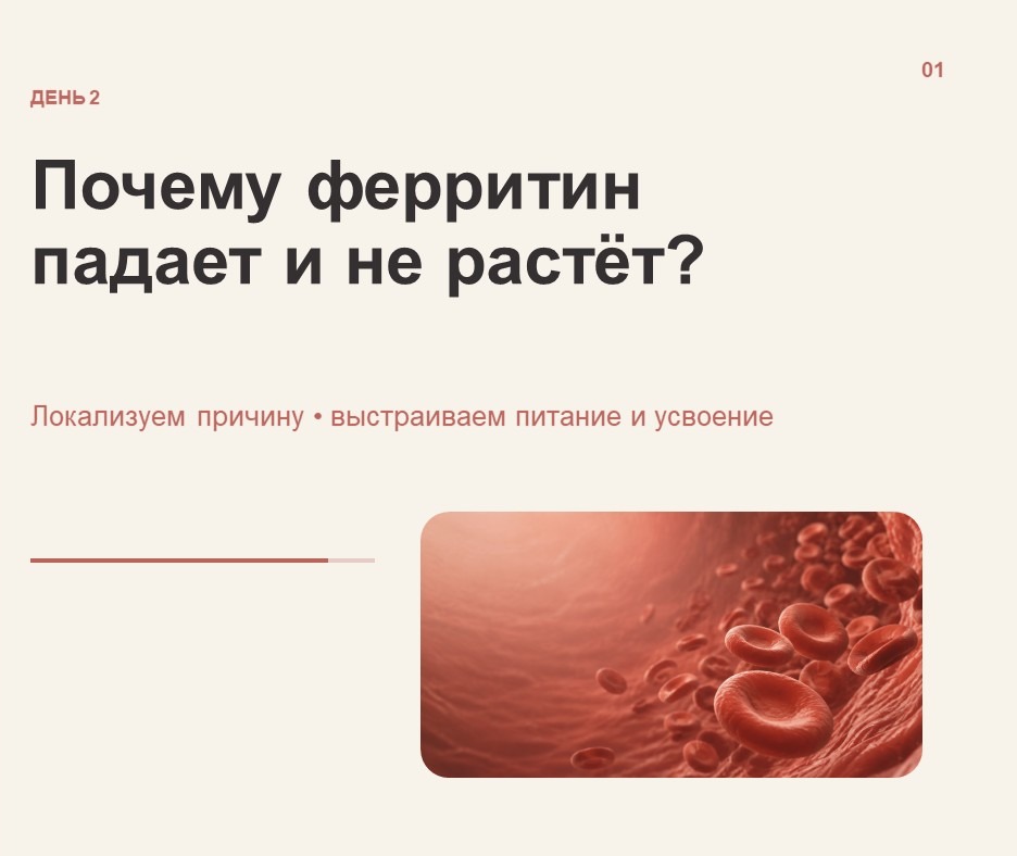 Обложка: Почему ферритин падает и не растёт