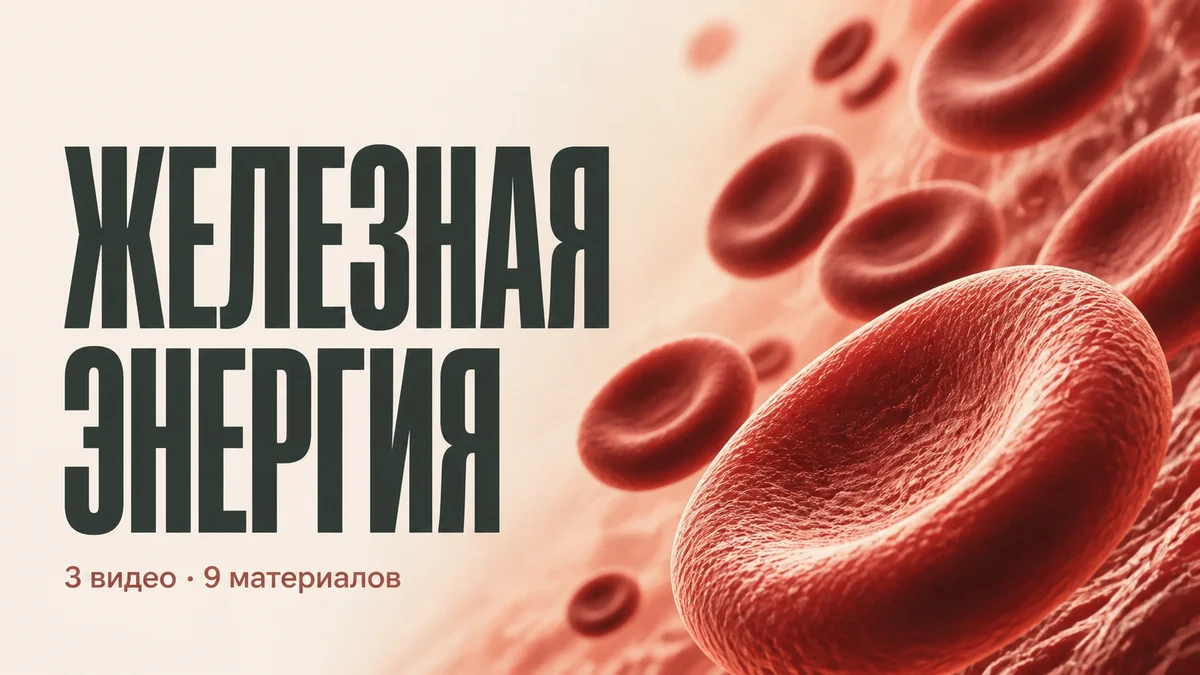 Железная энергия — 3 видео и 9 материалов. Обложка с эритроцитами